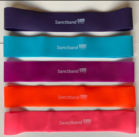 5 in 1 Resistance Exercise Loop Band Kit 13" (5 Level) - Sanctband USA